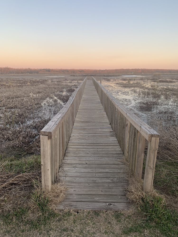 Lake waco wetlands