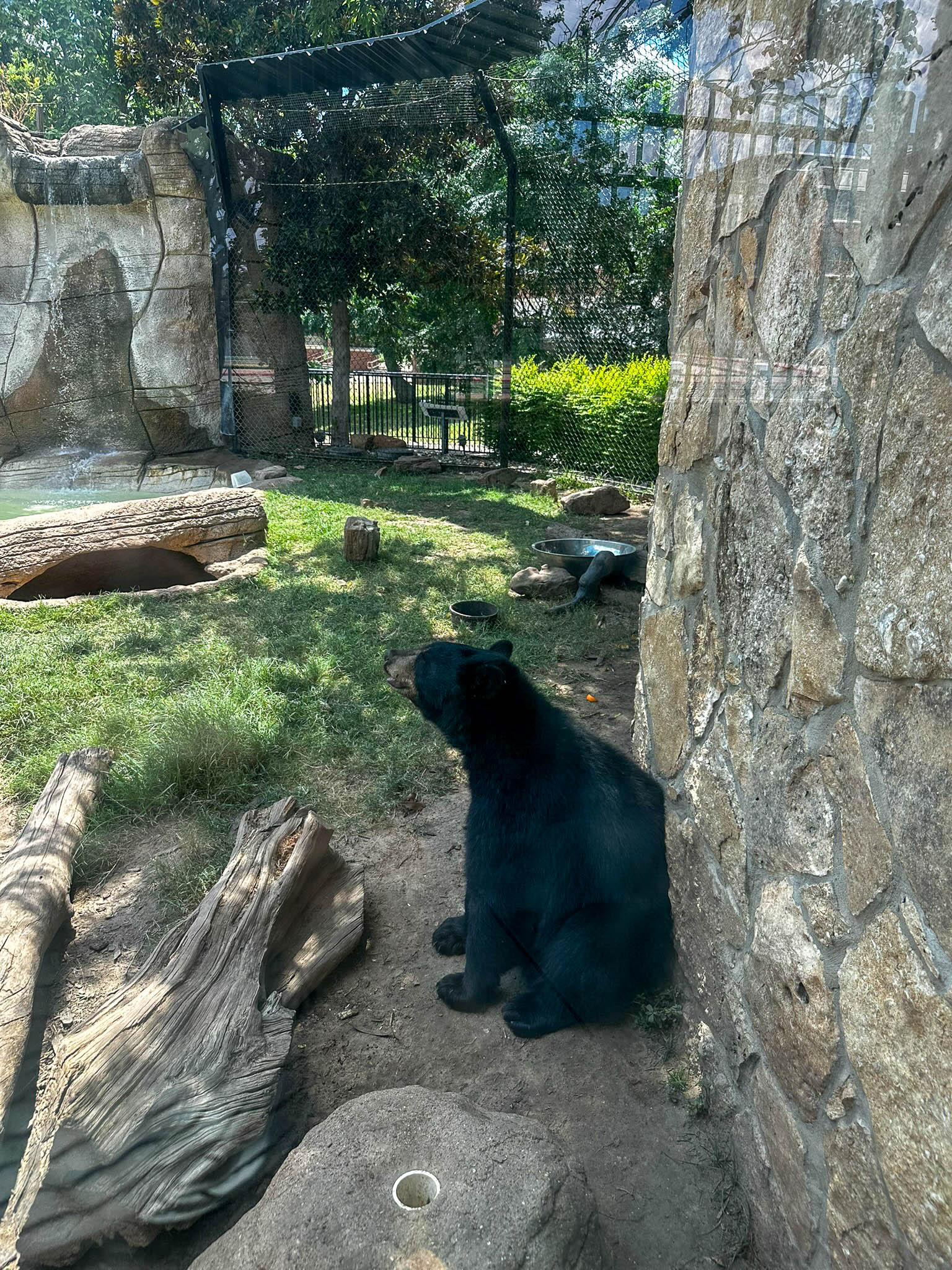 Baylor Bear Habitat