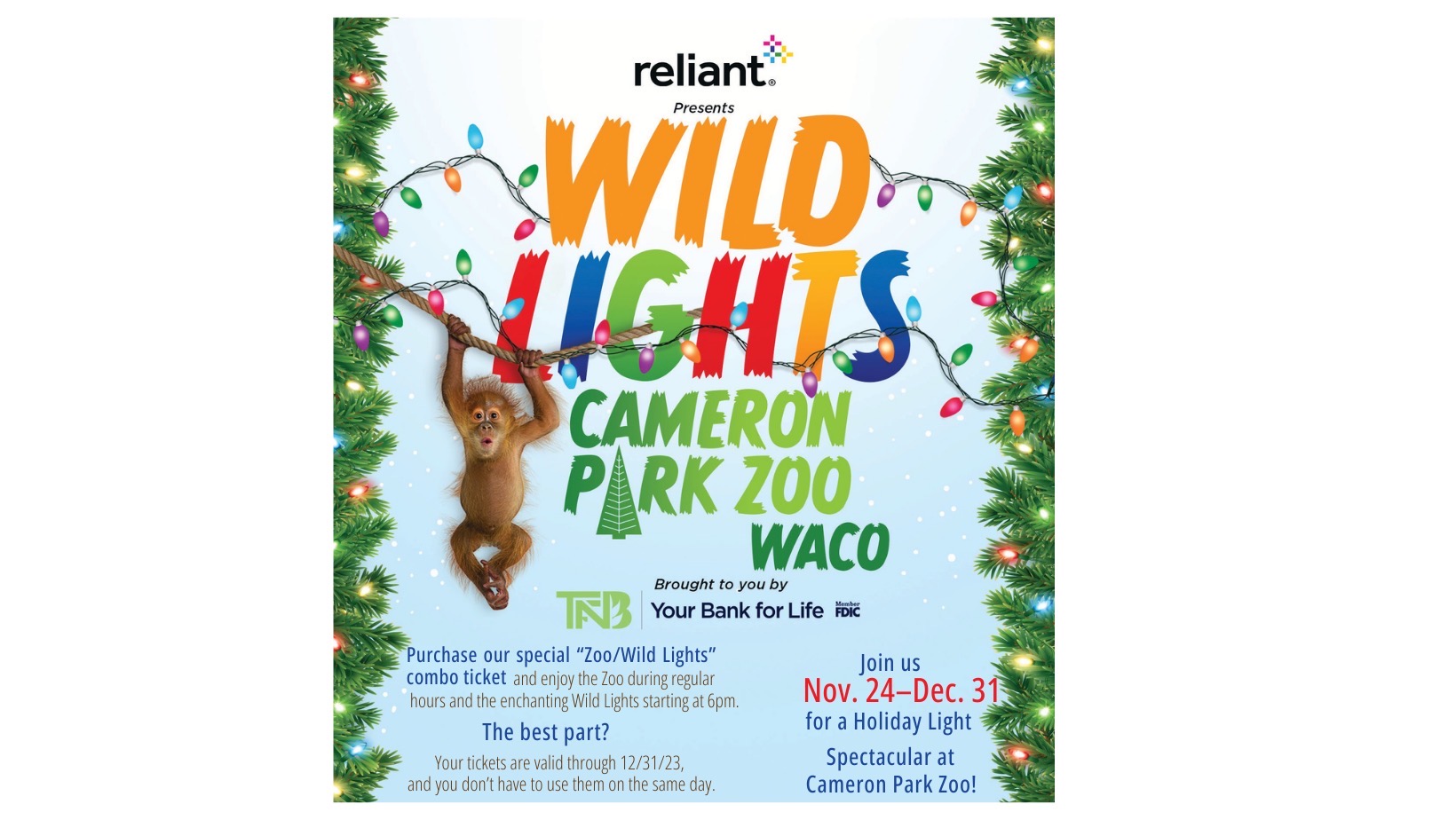 Wild Lights at Cameron Park Zoo