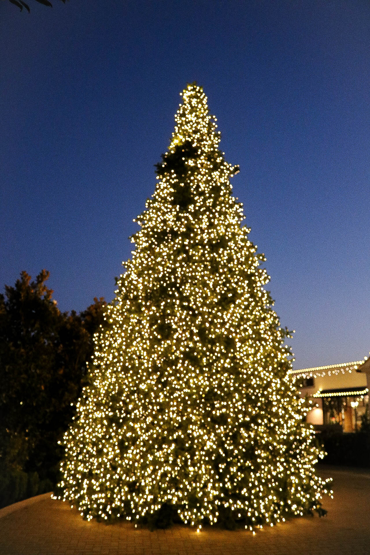 Christmas at the Silos