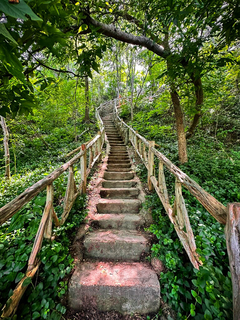 Hiking at Cameron Park