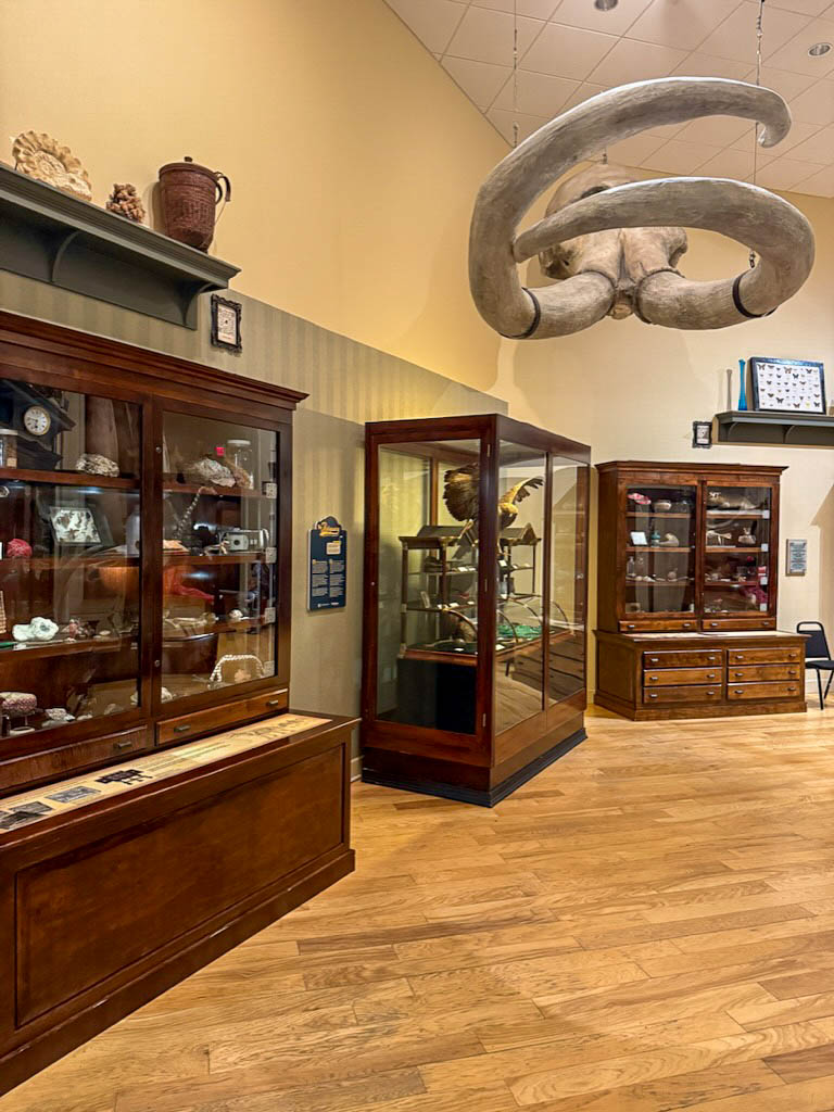 Mayborn Museum in Waco