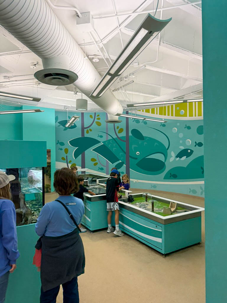 Mayborn Museum in Waco water discovery