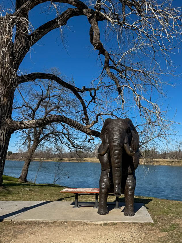 Wise Elephant at Waco Sculpture Zoo