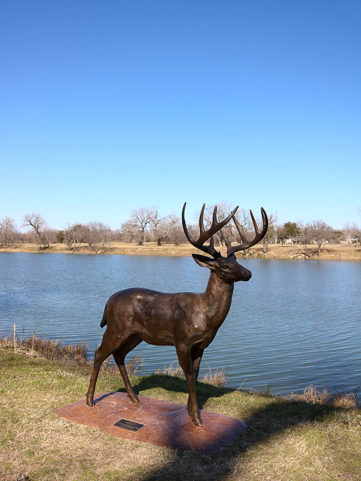 Waco Sculpture Zoo-10